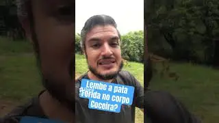 CURA DEFINITIVA PARA DERMATITE E COCEIRA NA PELE OU LAMBEDURA DOS C&Atilde;ES S&Oacute; RESOLVE DESTA FORMA