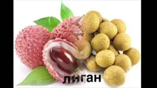 Фрукты  в алфавитном порядке. Первые слова.