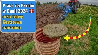 Orka trawy w Danii Kostrzewa czerwona 🚜_VVVVVVVVo🏁