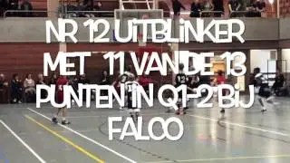 Tigers Evergem - BBC Falco
