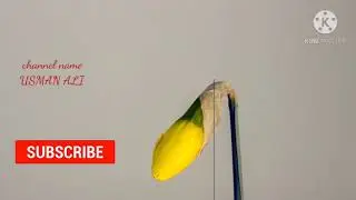 surah Ar-Rahman Al-Quran/subscribe my Channel /USMAN ALI