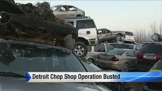 Detroit chop shop operation busted