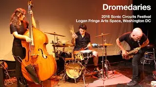 DROMEDARIES: dc sonic circuits festival 2016