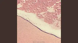 Exquisite Backdrops for Beach Trips