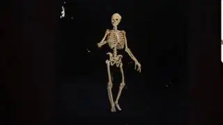 Magic Lantern Slides