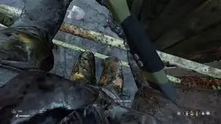 DAYZ Freshy Life!! #quickraid #livedayz