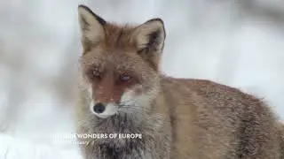 Hidden Wonders of Europe