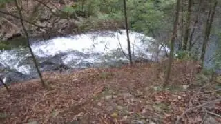 Stinging Fork Falls