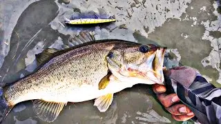 GOOGAN SQUAD SCOUT SAVES my WEEKEND! (Best Day of Winter Fishing)