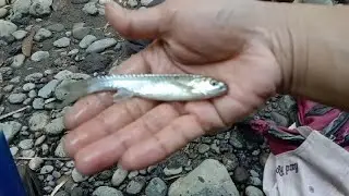 Mancing uceng purba dapet bonus wader andong