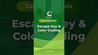 Why Excel&rsquo;s Color Coding Matters #shorts
