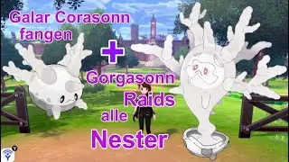 Galar Corasonn fangen + Gorgasonn Raids + alle Nester SCHILD | Pokemon Schwert und Schild