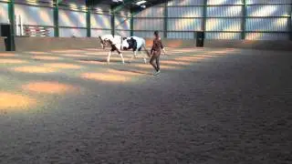Aero Lunge