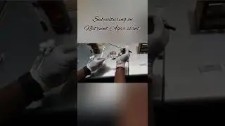How to Inoculate a Slant| Micobes under test tube| Nutrient slant|
