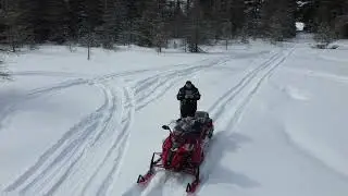 Haliburton Forest Trapline