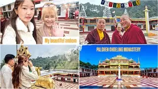 Visiting Ralang Monastery - A Spiritual Family Outing 📿 | South Sikkim♡