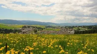 Gallio - Una terra da scoprire