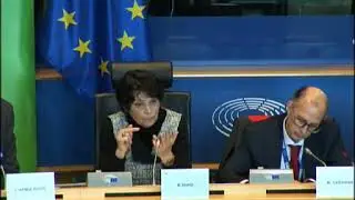 Deep geological repository: introduction by MEPs Mich&egrave;le RIvasi & Tilly Metz