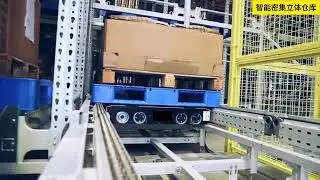 4 way shuttle warehouse racking system project video