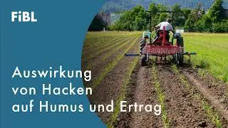 Hacken und Bodenbearbeitung: Auswirkungen auf Unkraut, Humus, Stickstoff und Ertrag | Hackfolgen 2/2