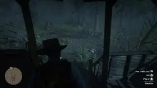 Red Dead Redemption 2 stranger task