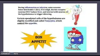 2-Minute: Blood-Brain Barrier versus Blood-CSF Barrier/ Intact BBB/ Altered BBB/ USMLE  NCLEX MCAT
