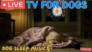 Dog Sleep Music: Don't Tell My Dog This is Actually For My Own Peace & Quiet!