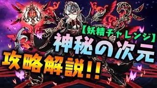 【解説】神秘の次元『妖精チャレンジ』攻略解説!!  【ダックス】【パズドラ実況】