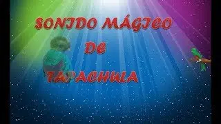 Sonido Mágico De Hugo Morales - Popurrí 