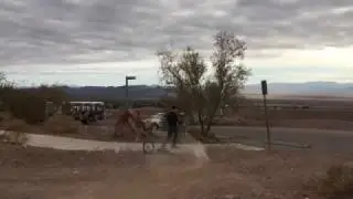 Cheap walmart bike dirt jump test