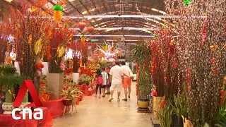 Nurseries say prices for some Chinese New Year plants have risen by about 10%