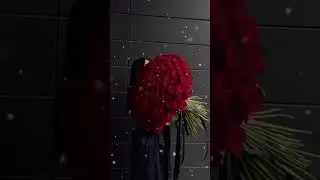 #youtubeshorts#viralvideo#viral#shorts#viralshorts#love#video#shortsfeed#shortvideo#rsr❤❤❤