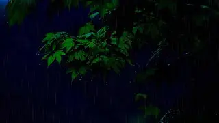 Rain Sounds for Relaxing, Focus or Deep Sleep | Nature White Noise | 10 Hour Video