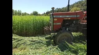 ARPA BİÇİMİNDEN DÖNÜME 40 BALYA ALDIK