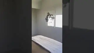14m x 4m HIGH END TINY HOME