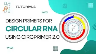 Design PCR primers for circular RNA targets
