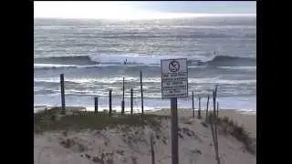 contis plage sauvage surf bodyboard spot guide