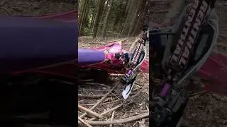 Tm racing  300 2t Pink 2024 #enduro #endurofails #hillclimb #motocycle #tmracing #300cc #2stroke