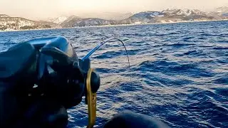 【北海道羅臼】極寒の海で船からジギングでサクラマスを狙う！捌いて握り寿司にして食べたら最高だったよ！