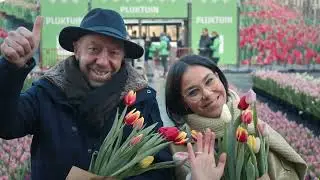 Pluktuin 2023 - Antwerpen