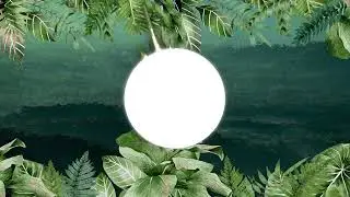 Conecta con Alouatta seniculus - Mono aullador