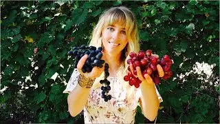 BEE RISING ~ TRANSFORM YOUR LIFE TODAY~ BODY MIND SOUL
