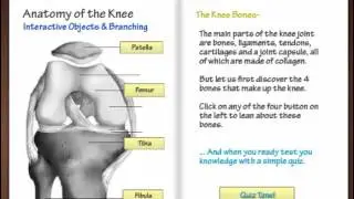 Adobe Captivate - Branching & Quiz Demo - Knee Bones