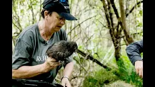 Rotoroa Island, Auckland, New Zeland - Fullers360 destinations
