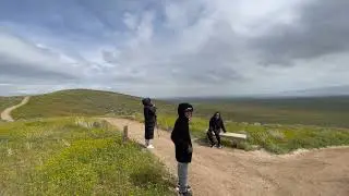 Antelope Valley California Poppy Reserve