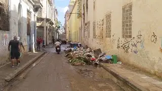 En Vivo 
