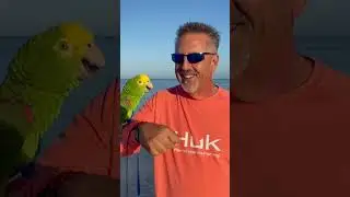 Singing on the beach