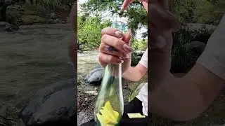 Dejando atr&aacute;s los miedos - Colecci&oacute;n Hogar - Two Glass
