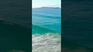 Mesmerizing Dolphin Spectacle: Incredible Drone Footage of Dolphins Leaping from Waves