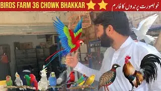 Birds Farm Bhakkar ||  برڈز فارم بھکر||  پرندوں کا فارم|| Desi Village Life